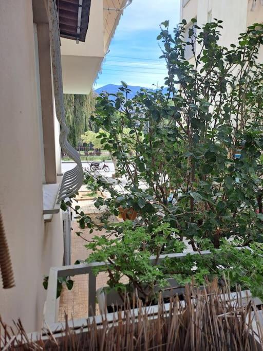 Апартаменти Δίπλα Στο Πάρκο Каламата Екстер'єр фото